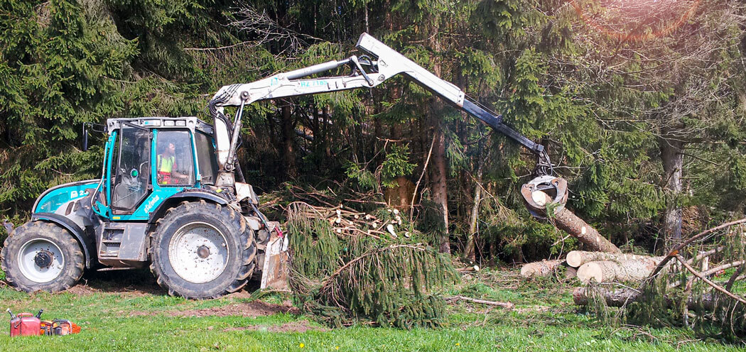 Forstarbeiten mit Rückewagen