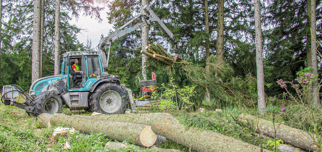 Holzrücken im Wald